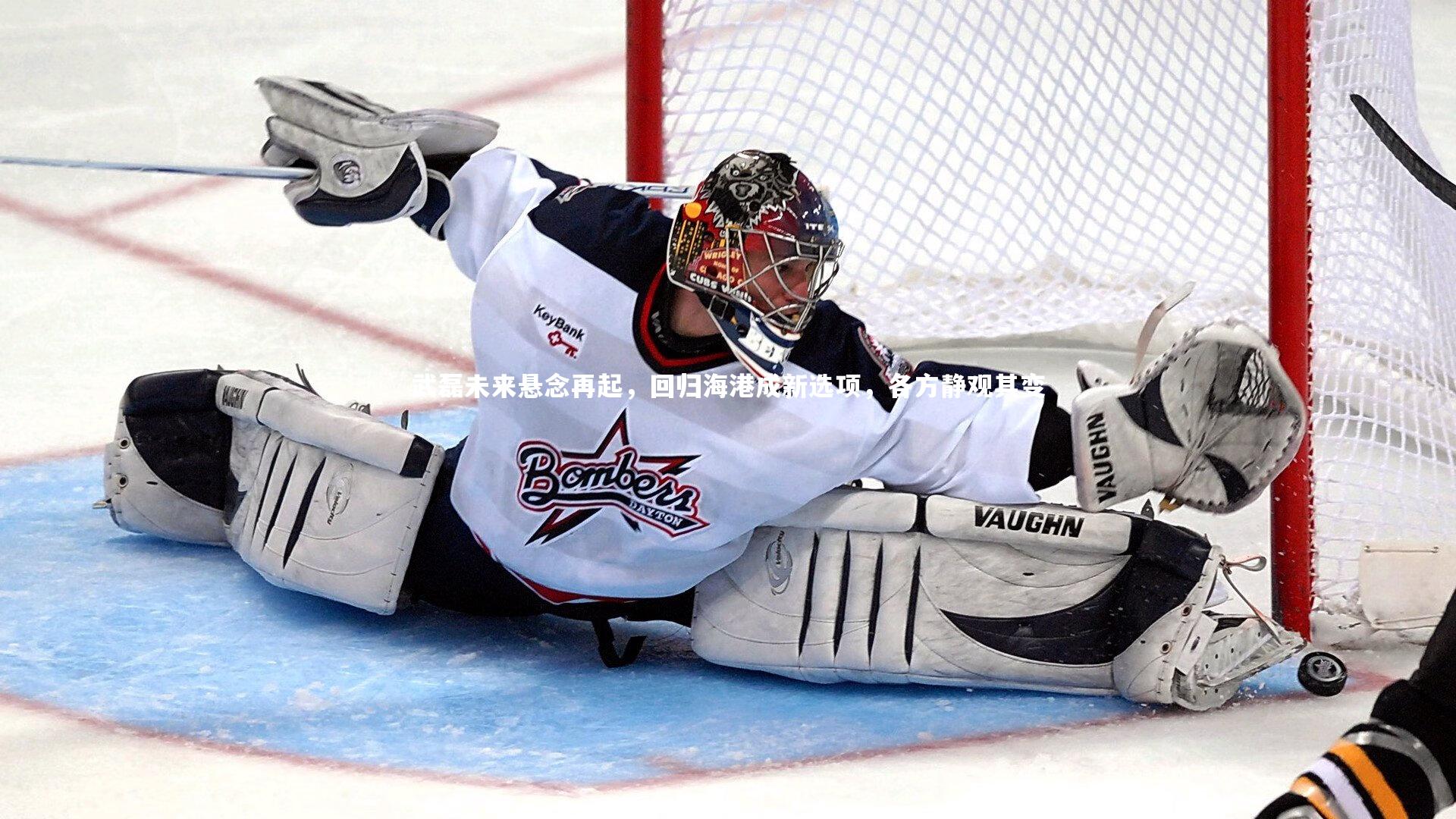 九游会j9官网：武磊未来悬念再起，回归海港成新选项，各方静观其变