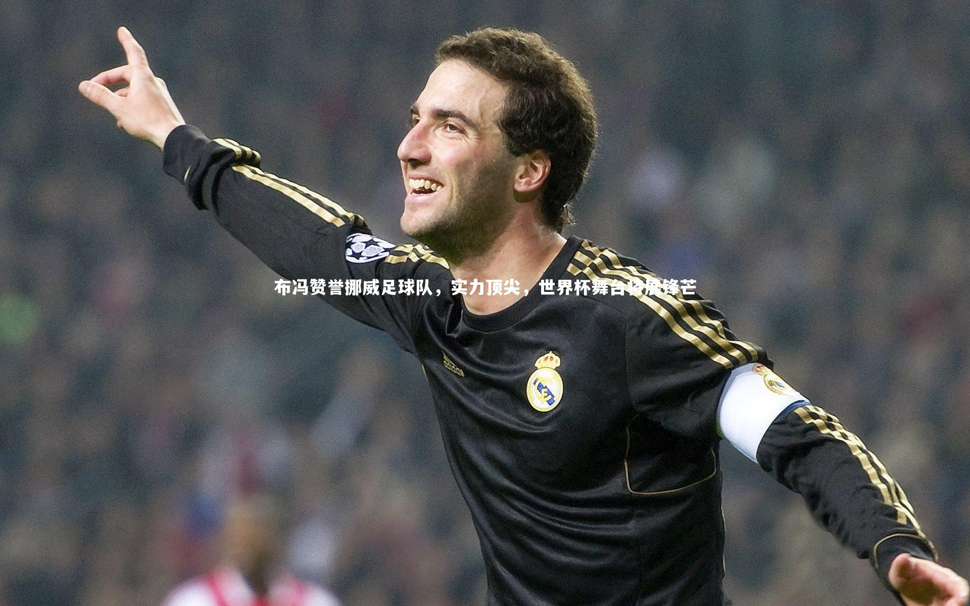 九游会j9_布冯赞誉挪威足球队，实力顶尖，世界杯舞台将展锋芒